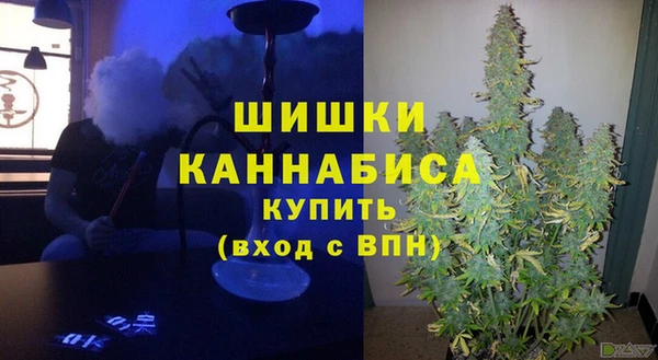 spice Белокуриха